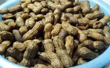 Kacang Rebus
