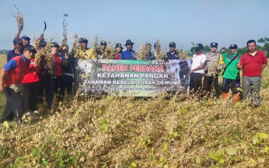 Ketahanan Pangan (Penanaman Kedelai)